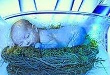 从厦门去俄罗斯做试管费用并不高，去俄罗斯做试管要花多少钱？