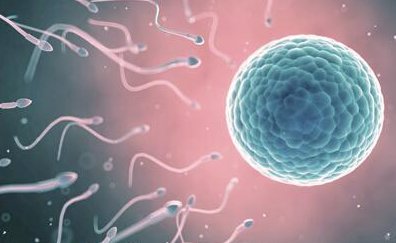 子宫偏小能做试管婴儿吗？做试管婴儿需要满足什么条件？