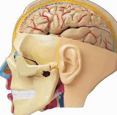 北京做三代试管比较好的医院是哪些真的靠谱吗？